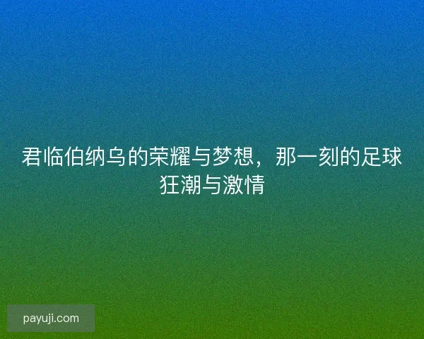 君临伯纳乌的荣耀与梦想，那一刻的足球狂潮与激情